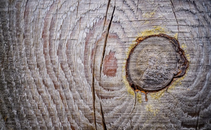 Tartak – Źródło Wyjątkowego Drewna: Buduj Z Pasją i Odpornością.